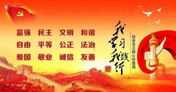 救援袋鼬
